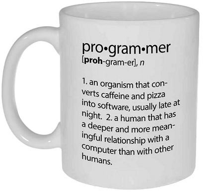 Programmer